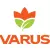 VARUS